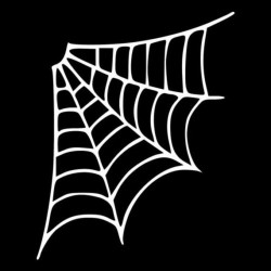 Spider web - car sticker