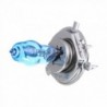 Halogen car lights - H1 / H3 / H4 / H7 / H9 / 880 / 881 / 9005 / 9006 - 2 piecesHalogen lights