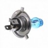 Halogen car lights - H1 / H3 / H4 / H7 / H9 / 880 / 881 / 9005 / 9006 - 2 piecesHalogen lights