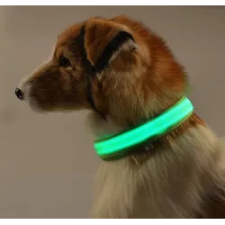 LED dog collar - luminous / flashing - safety night walk