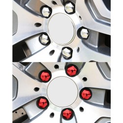 Car rim cover - protective nuts - with clip - 17mm - 20 pieces