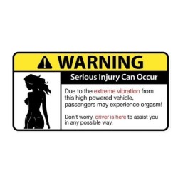 Sjovt bilklistermærke - "Sexy Girl Warning Serious Injury Can Occur"