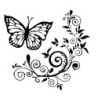 Decorative car sticker - butterfly / flowersStickers