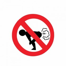 No Farting - car sticker - 12 * 12cm
