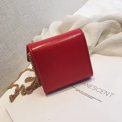 Small elegant bag with bow & chain