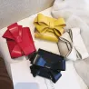 Small elegant bag with bow & chain
