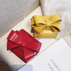 Small elegant bag with bow & chain