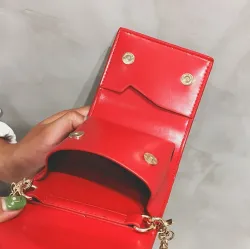 Small elegant bag with bow & chain