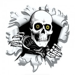 Car sticker with skull 15.9 * 15cm